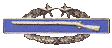 Combat Infantryman Combat Infantryman